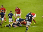 FZ025545 Wales vs Scotland.jpg